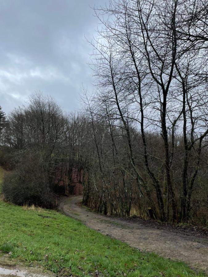 Ferienhaus Buchali Harscheid Eksteriør billede